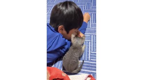 男の子と猫
