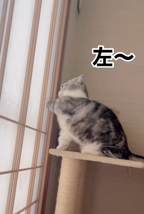 「左」と書かれた写真