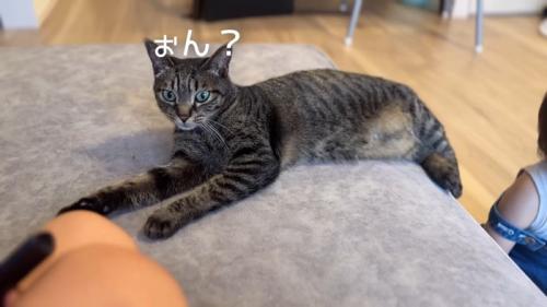 ぉん？