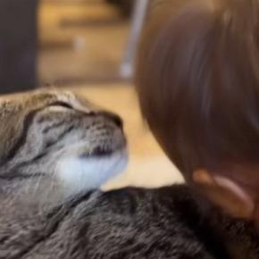 ソファでくつろぐ猫→『赤ちゃん』が顔を近づけて甘えてきた結果…『まさかの行動』が尊すぎると28万再生「本当に大人しい」「愛が深い」