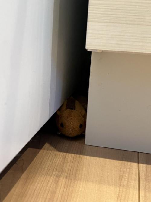 隙間に挟まっていたおもちゃ