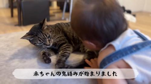 鬼絡みが始まりました