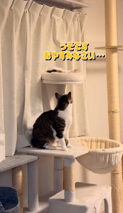 ベッドにいるしぐれちゃんを見つめるそぼろくん2