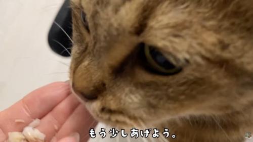テロップ「もう少し～」