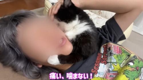 噛まない！