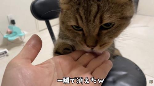 テロップ「一瞬で消えた」
