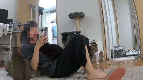 座るママさんと3ニャンズ