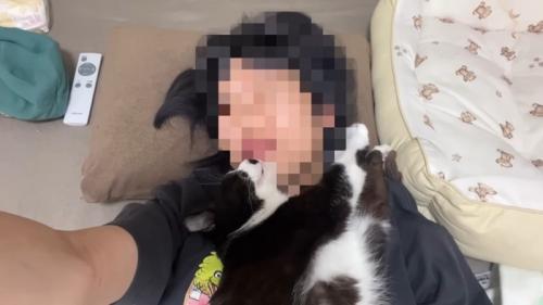 上から