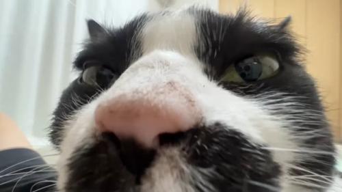 ドアップ