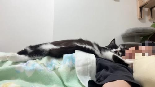 伸びた姿