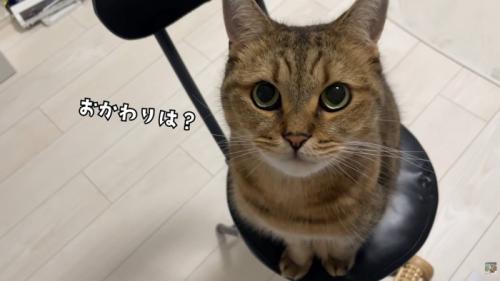 テロップ「おかわりは？」