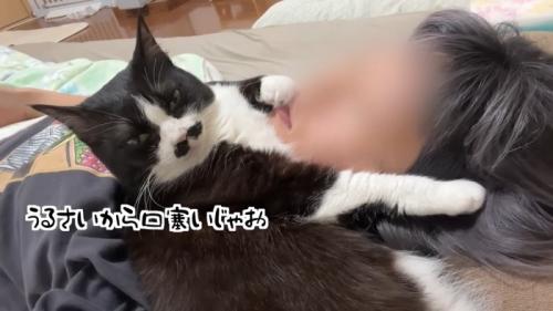 口塞いじゃお