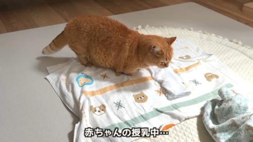 赤ちゃんの授乳中