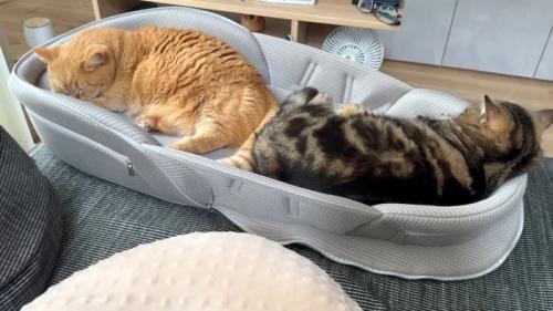 眠るふたり