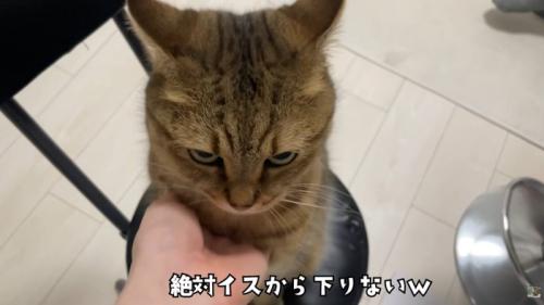 テロップ「絶対イスから～」