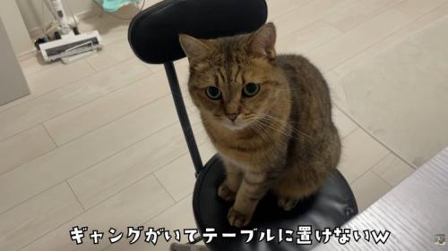 テロップ「ギャングがいて～」