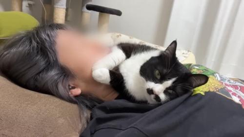 顔に前足