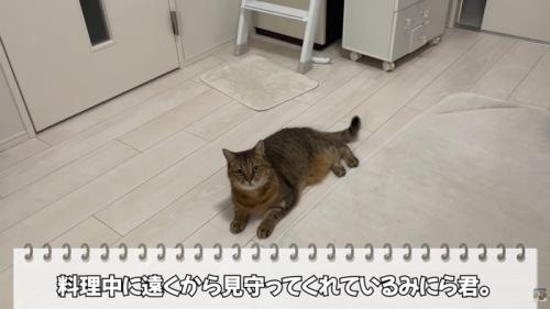 テロップ「料理中に～」