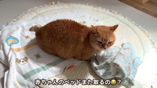 また取るの?
