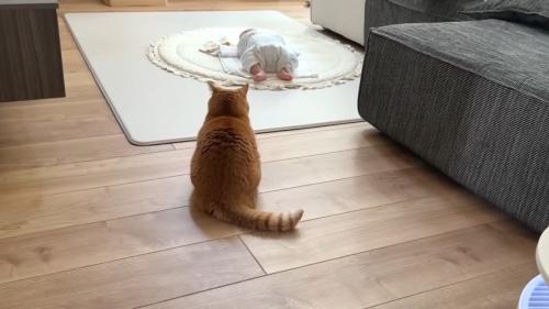 座り込む後ろ姿