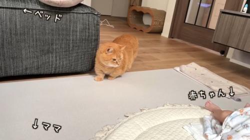 ベッド・ママ・赤ちゃん