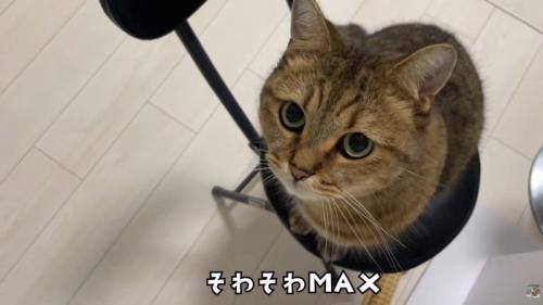 テロップ「そわそわMAX」