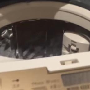 洗濯機に入った猫→飼い主が中を覗くと……ビックリしてしまう瞬間に15万いいね「本気を感じるｗ」「思わず叫んでしまったｗ」と話題に