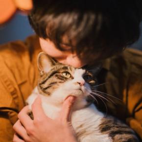 猫の『輪廻転生』についての通説4つ　亡くなった愛猫と再会できる？生まれ変わりを感じる瞬間とは
