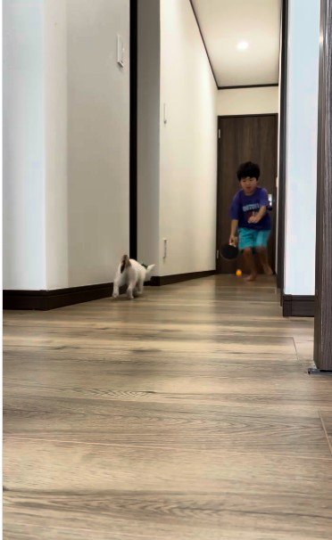 廊下で遊んでいる子どもと子猫
