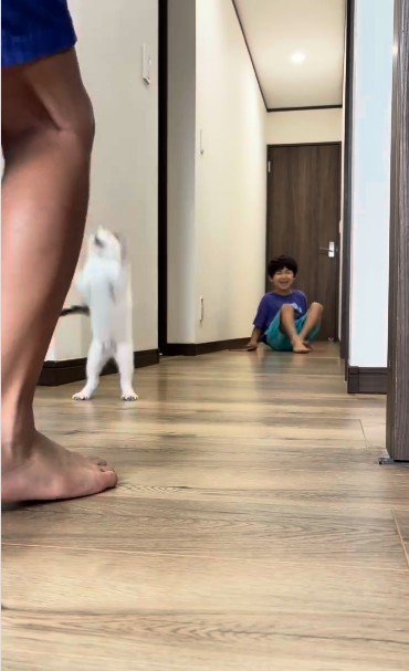 廊下で遊んでいる子どもと子猫