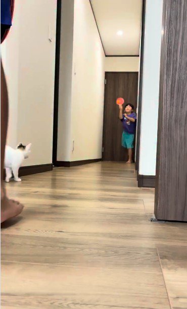 廊下で遊んでいる子どもとそれを見ている子猫