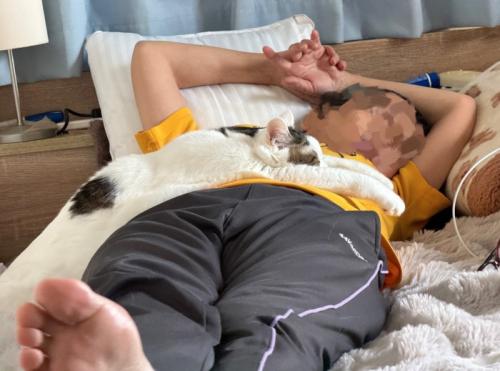 お母さんの上で眠る猫