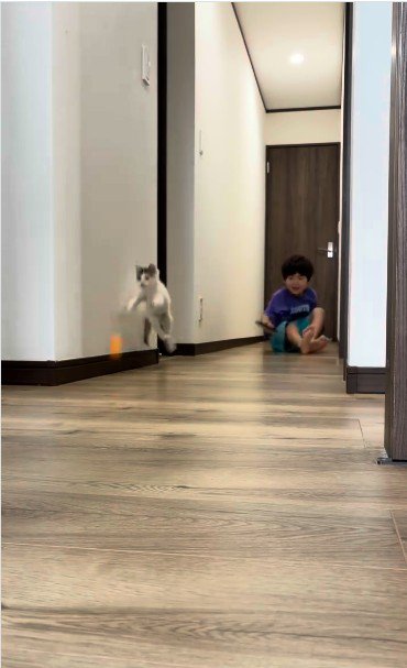 廊下で遊んでいる子どもと子猫