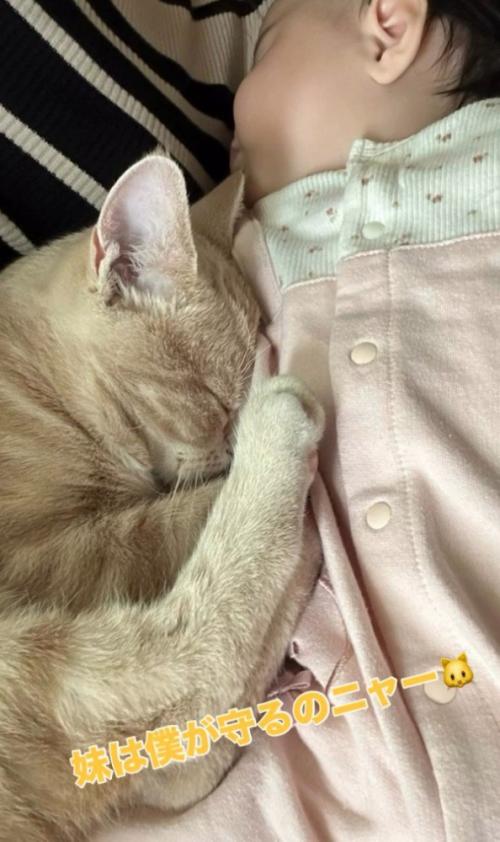 向かい合って寝る猫と赤ちゃん
