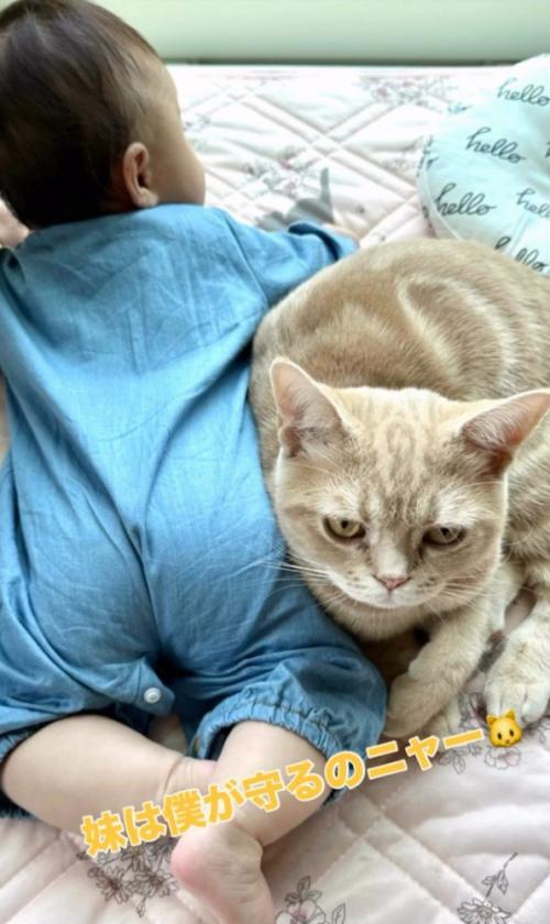 赤ちゃん背面と猫