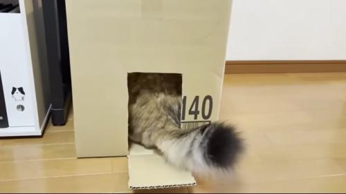 スムーズな入城