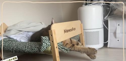 ベッドで寝ている猫