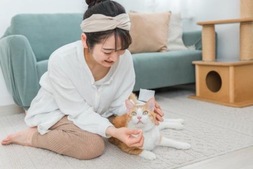 投薬をしようとする女性と猫
