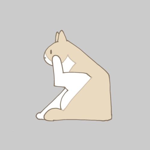 猫のイラスト