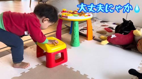 遊んでいる赤ちゃんと見守る猫