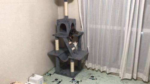 タワーで見つめ合うふたり