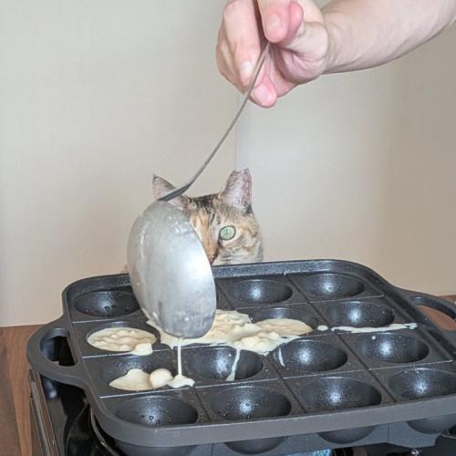 お玉の影から見つめるこむぎちゃん