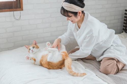 猫と遊ぶ女性