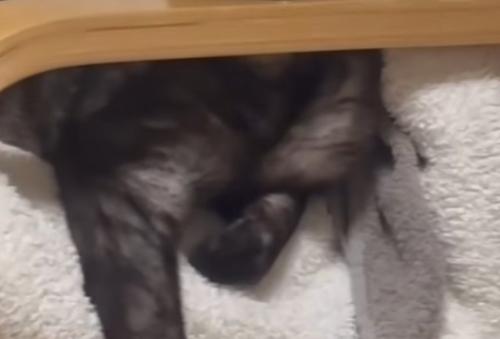 椅子の肘掛け