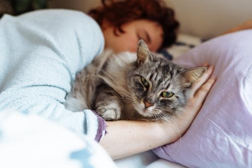 寝ている飼い主と起きている猫