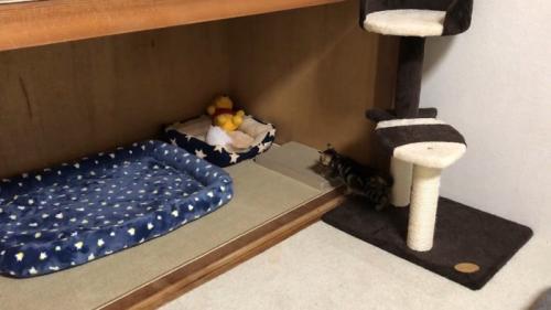 寝床に向かって