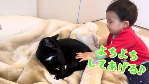 猫をなでている赤ちゃん
