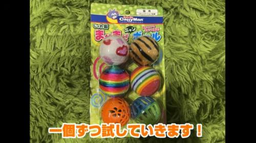 6個の猫用ボール