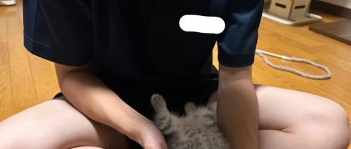 息子さん