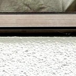 猫を連れて帰省→『実家にいる猫』と対面させた結果…予想外の『尊すぎる展開』に２万いいね「息ピッタリだね」「話しているみたいｗ」